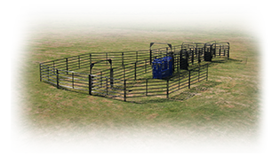 RSOSCS_1 Rough Stock Open Corral System
